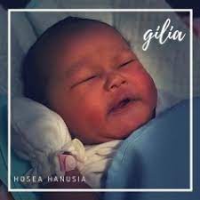 Read more about the article Hosea Hanusia – Gilia
